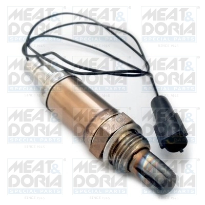 Oxygen Sensor